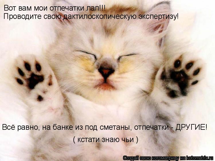 Вот вам мои отпечатки лап!!! Проводите свою дактилоскопическую экспертизу! Всё равно, на банке из под... Котоматрица: Вот вам мои отпечатки лап!!! Проводите свою дактилоскопическую экспертизу! Всё равно, на банке из под сметаны, отпечатки - ДРУГИЕ! ( кстати зн