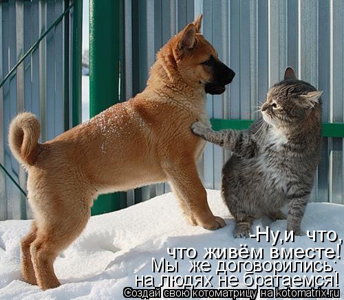 -Ну,и что, что живём вместе! Мы же договорились: на людях не братаемся!... Котоматрица: -Ну,и что, что живём вместе! Мы же договорились: на людях не братаемся!