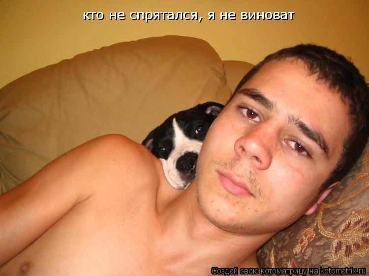кто не спрятался, я не виноват... Котоматрица: кто не спрятался, я не виноват