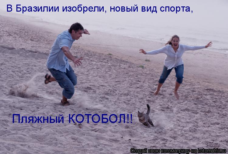 В Бразилии изобрели, новый вид спорта, Пляжный КОТОБОЛ!!... Котоматрица: В Бразилии изобрели, новый вид спорта, Пляжный КОТОБОЛ!!