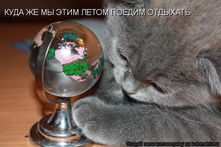 КУДА ЖЕ МЫ ЭТИМ ЛЕТОМ ПОЕДИМ ОТДЫХАТЬ ...... Котоматрица: КУДА ЖЕ МЫ ЭТИМ ЛЕТОМ ПОЕДИМ ОТДЫХАТЬ ...