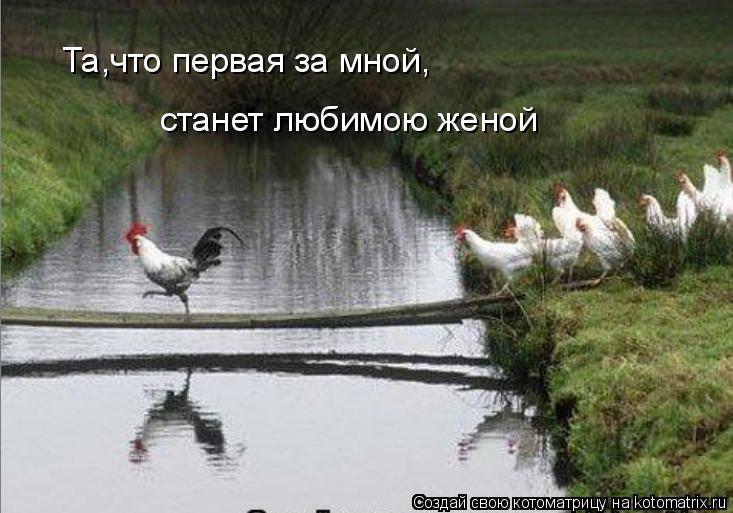 Та,что первая за мной, станет любимою женой... Котоматрица: Та,что первая за мной, станет любимою женой
