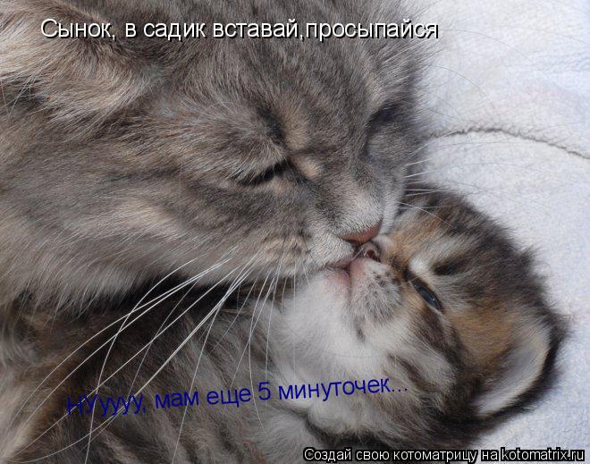 Сынок, в садик вставай,просыпайся НУуууу, мам еще 5 минуточек...... Котоматрица: Сынок, в садик вставай,просыпайся НУуууу, мам еще 5 минуточек...