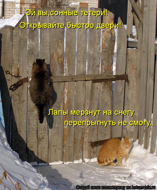 Эй вы,сонные тетери! Открывайте быстро двери! Лапы мерзнут на снегу перепрыгнуть не смогу..... Котоматрица: Эй вы,сонные тетери! Открывайте быстро двери! Лапы мерзнут на снегу перепрыгнуть не смогу..