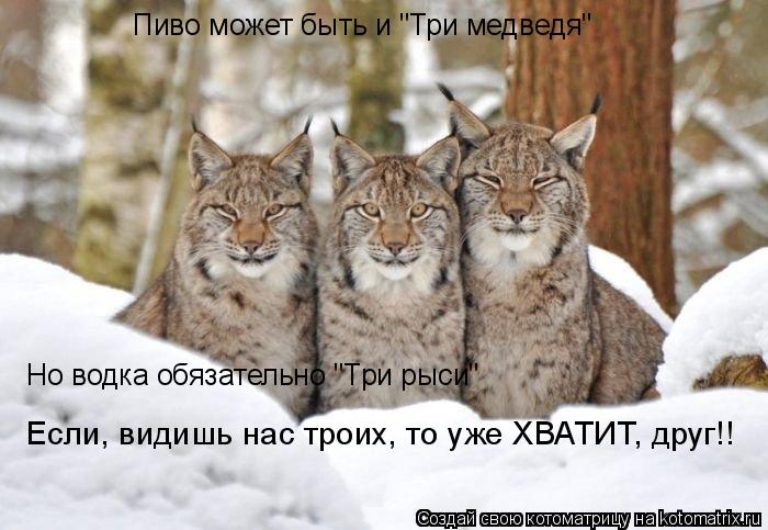 Пиво может быть и "Три медведя" Но водка обязательно "Три рыси" Если, видишь нас троих, то уже ХВАТ... Котоматрица: Пиво может быть и "Три медведя" Но водка обязательно "Три рыси" Если, видишь нас троих, то уже ХВАТИТ, друг!!
