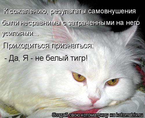 К сожалению, результаты самовнушения были несравнимы с затраченными на него усилиями... Приходиться ... Котоматрица: К сожалению, результаты самовнушения были несравнимы с затраченными на него усилиями... Приходиться признаться: - Да, Я - не белый тигр!