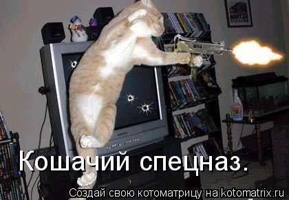 Кошачий спецназ.... Котоматрица: Кошачий спецназ.