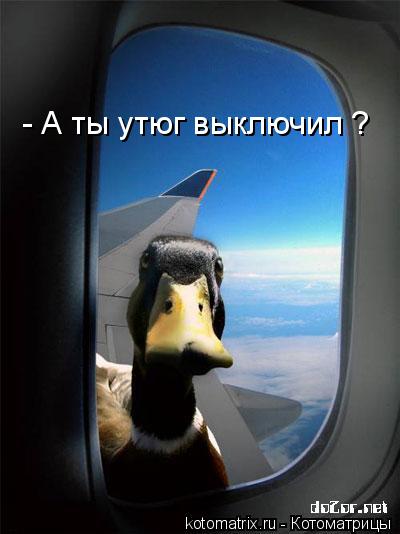 - А ты утюг выключил ?... Котоматрица: - А ты утюг выключил ?