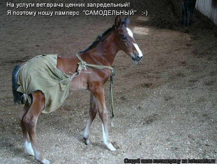 На услуги вет.врача ценник запредельный! Я поэтому ношу памперс "САМОДЕЛЬНЫЙ" :-)... Котоматрица: На услуги вет.врача ценник запредельный! Я поэтому ношу памперс "САМОДЕЛЬНЫЙ" :-)