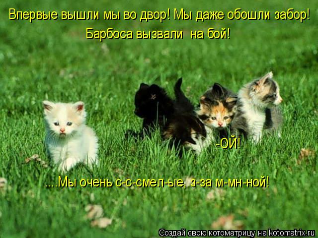 Впервые вышли мы во двор! Мы даже обошли забор! Барбоса вызвали на бой! ....Мы очень с-с-смел-ые, ... Котоматрица: Впервые вышли мы во двор! Мы даже обошли забор! Барбоса вызвали на бой! ....Мы очень с-с-смел-ые, з-за м-мн-ной! -ОЙ!