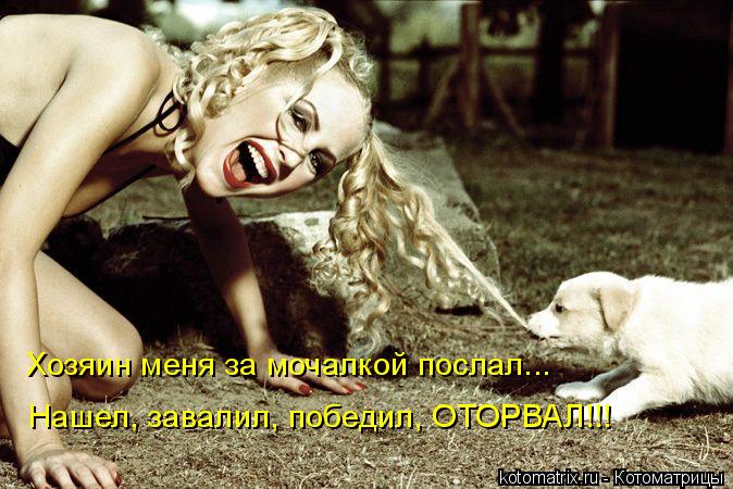 Хозяин меня за мочалкой послал... Нашел, завалил, победил, ОТОРВАЛ!!!... Котоматрица: Хозяин меня за мочалкой послал... Нашел, завалил, победил, ОТОРВАЛ!!!