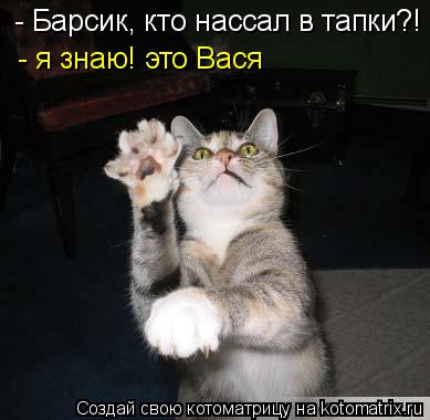 - Барсик, кто нассал в тапки?! - я знаю! это Вася... Котоматрица: - Барсик, кто нассал в тапки?! - я знаю! это Вася