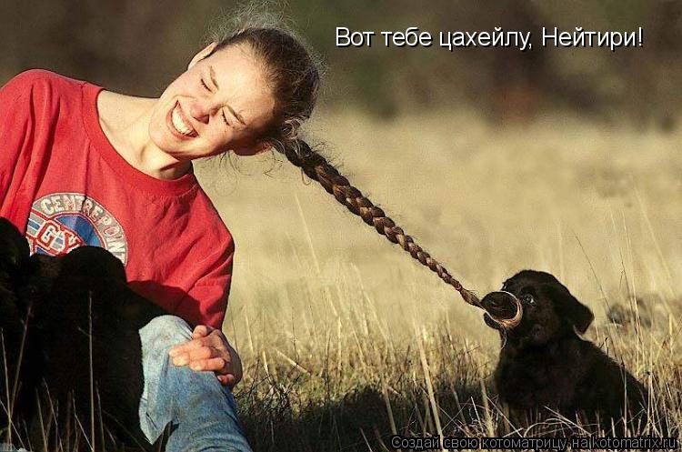 Вот тебе цахейлу, Нейтири!... Котоматрица: Вот тебе цахейлу, Нейтири!