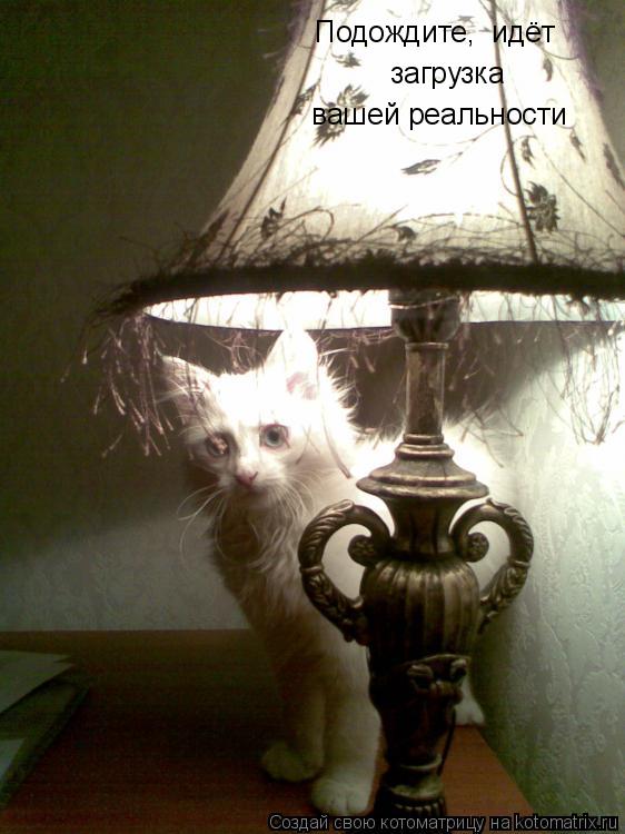 Подождите, идёт загрузка вашей реальности... Котоматрица: Подождите, идёт загрузка вашей реальности