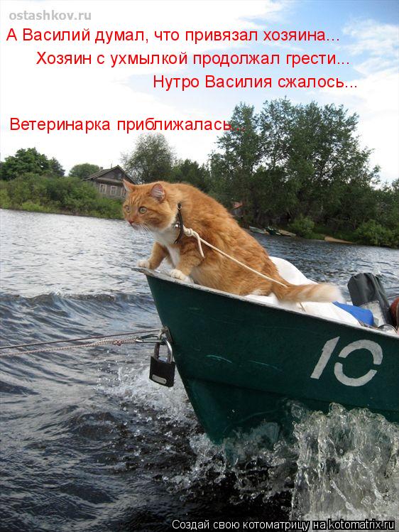 А Василий думал, что привязал хозяина... Хозяин с ухмылкой продолжал грести... Нутро Василия сжалось.... Котоматрица: А Василий думал, что привязал хозяина... Хозяин с ухмылкой продолжал грести... Нутро Василия сжалось... Ветеринарка приближалась...