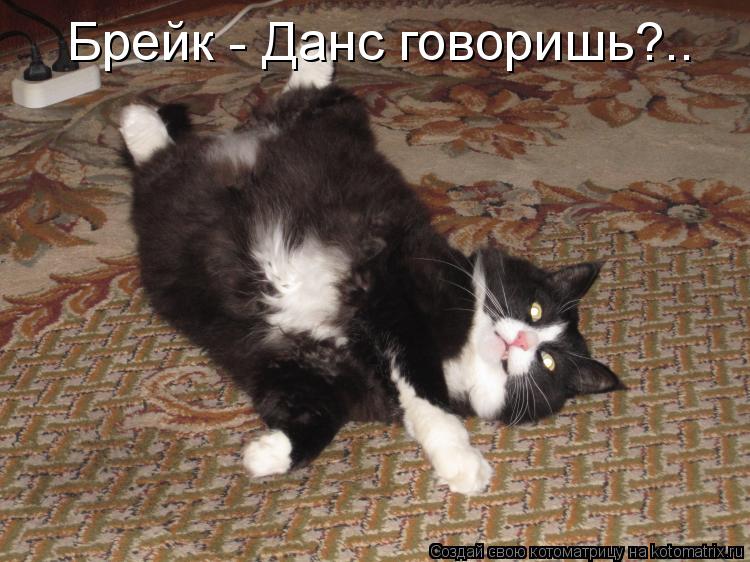 Брейк - Данс говоришь?..... Котоматрица: Брейк - Данс говоришь?..