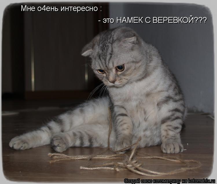 Мне о4ень интересно : - это НАМЕК С ВЕРЕВКОЙ???... Котоматрица: Мне о4ень интересно : - это НАМЕК С ВЕРЕВКОЙ???