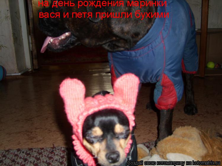 на день рождения маринки вася и петя пришли бухими... Котоматрица: на день рождения маринки вася и петя пришли бухими