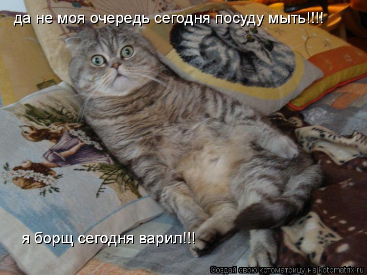 да не моя очередь сегодня посуду мыть!!!! я борщ сегодня варил!!!... Котоматрица: да не моя очередь сегодня посуду мыть!!!! я борщ сегодня варил!!!