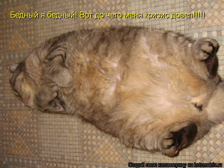Бедный я бедный! Вот до чего меня кризис довел!!!!!... Котоматрица: Бедный я бедный! Вот до чего меня кризис довел!!!!!