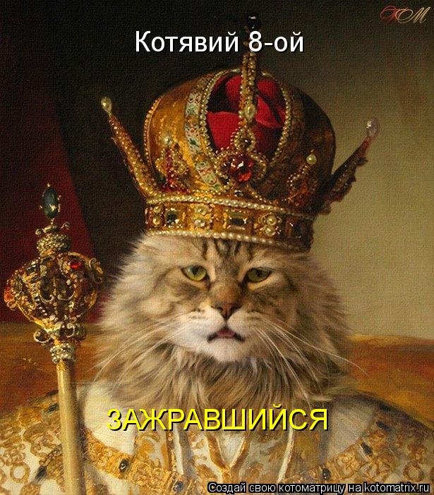 Котявий 8-ой ЗАЖРАВШИЙСЯ... Котоматрица: Котявий 8-ой ЗАЖРАВШИЙСЯ