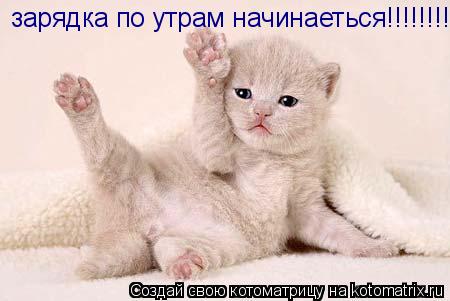 зарядка по утрам начинаеться!!!!!!!!!!!!!!... Котоматрица: зарядка по утрам начинаеться!!!!!!!!!!!!!!