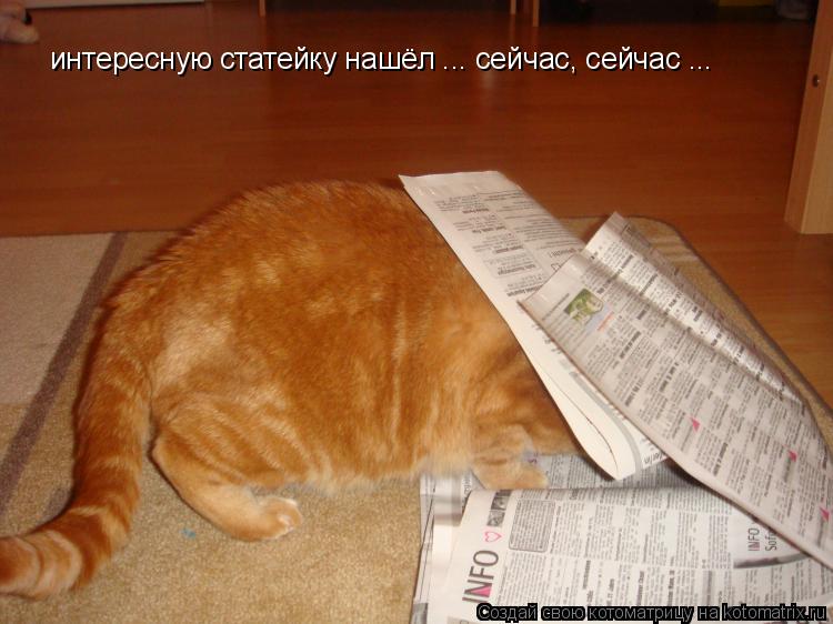 интересную статейку нашёл ... сейчас, сейчас ...... Котоматрица: интересную статейку нашёл ... сейчас, сейчас ...