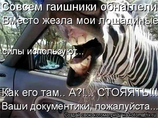 Совсем гаишники обнаглели! Вместо жезла мои лошадиные Как его там.. А?!... СТОЯЯТЬ!!! силы использую... Котоматрица: Совсем гаишники обнаглели! Вместо жезла мои лошадиные Как его там.. А?!... СТОЯЯТЬ!!! силы используют... Ваши документики, пожалуйста...