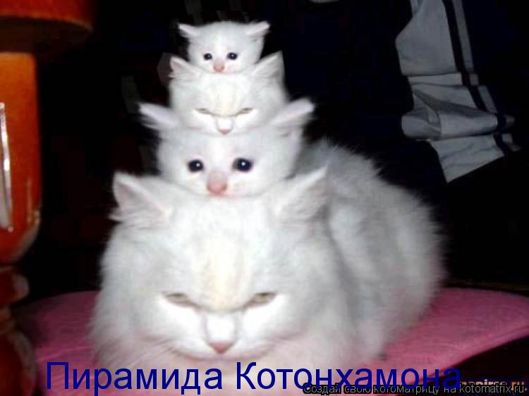 Пирамида Котонхамона... Котоматрица: Пирамида Котонхамона