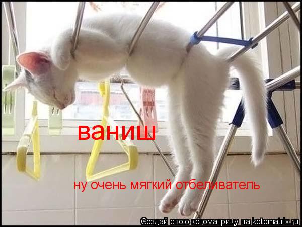 ваниш ну очень мягкий отбеливатель... Котоматрица: ваниш ну очень мягкий отбеливатель