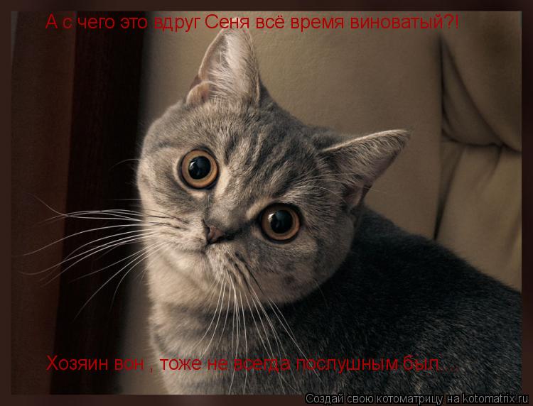 А с чего это вдруг Сеня всё время виноватый?! Хозяин вон , тоже не всегда послушным был....... Котоматрица: А с чего это вдруг Сеня всё время виноватый?! Хозяин вон , тоже не всегда послушным был....