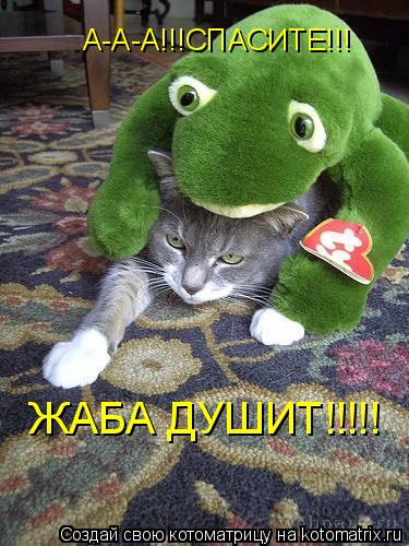 А-А-А!!!СПАСИТЕ!!! ЖАБА ДУШИТ!!!!!... Котоматрица: А-А-А!!!СПАСИТЕ!!! ЖАБА ДУШИТ!!!!!