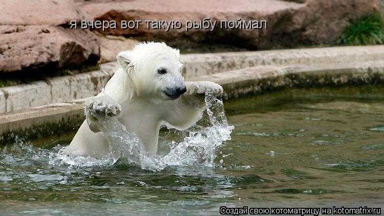 я вчера вот такую рыбу поймал... Котоматрица: я вчера вот такую рыбу поймал