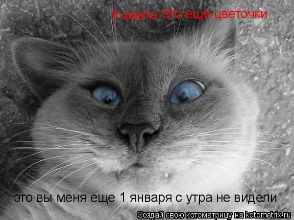 это вы меня еще 1 января с утра не видели 8 марта -это ещё цветочки... Котоматрица: это вы меня еще 1 января с утра не видели 8 марта -это ещё цветочки
