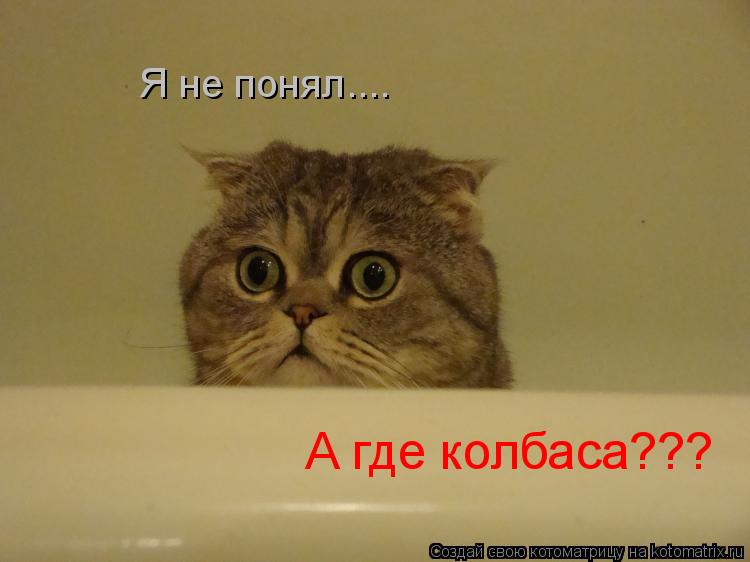 Я не понял.... А где колбаса???... Котоматрица: Я не понял.... А где колбаса???