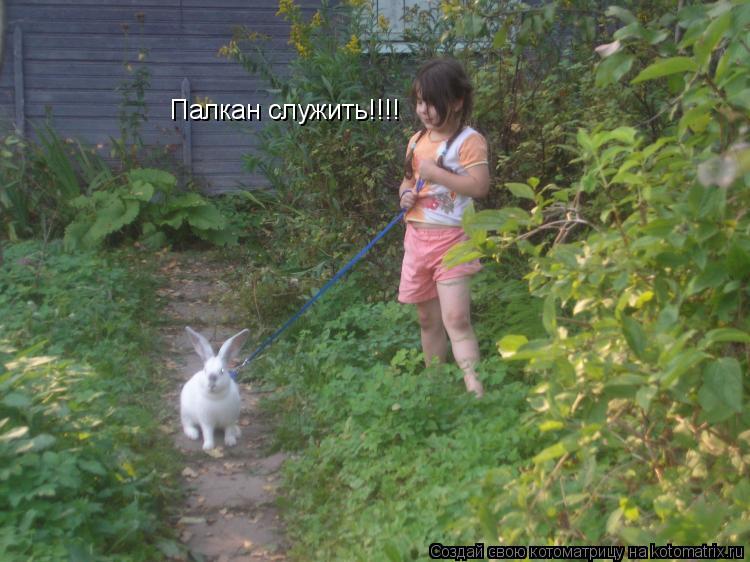Палкан служить!!!!... Котоматрица: Палкан служить!!!!