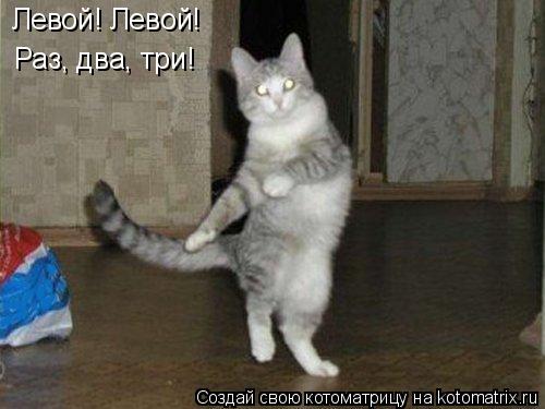 Левой! Левой! Раз, два, три!... Котоматрица: Левой! Левой! Раз, два, три!