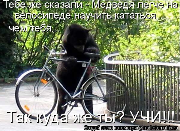 Тебе же сказали - Медведя легче на велосипеде научить кататься, чем тебя... Так куда же ты? УЧИ!!!... Котоматрица: Тебе же сказали - Медведя легче на велосипеде научить кататься, чем тебя... Так куда же ты? УЧИ!!!