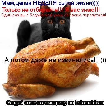 Котоматрица: Ммм,целая НЕДЕЛЯ сытой жизни)))) Только не отбирайте!!! Я вас знаю!!! Один раз вы с бодуна мой ужин со своим перепутали!(( А потом даже не извинил