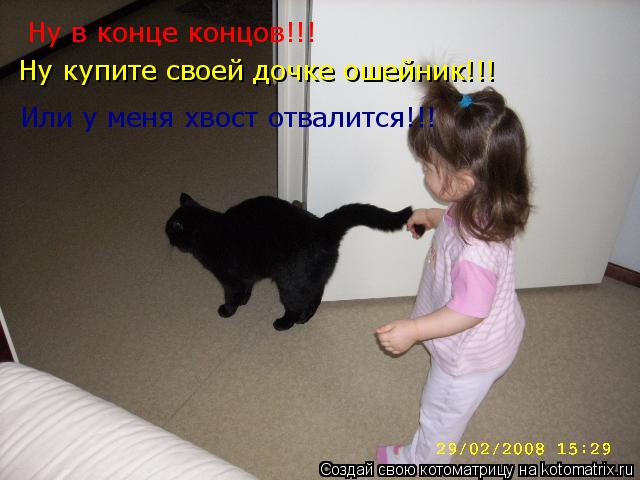 Ну в конце концов!!! Ну купите своей дочке ошейник!!! Или у меня хвост отвалится!!!... Котоматрица: Ну в конце концов!!! Ну купите своей дочке ошейник!!! Или у меня хвост отвалится!!!