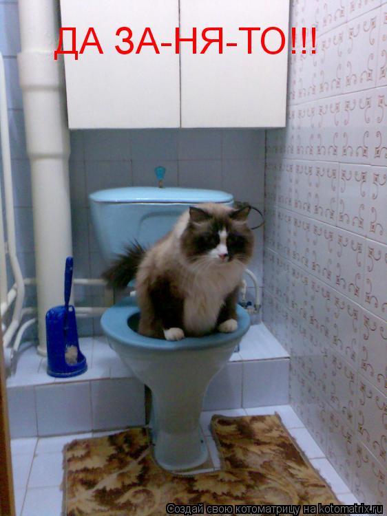 ДА ЗА-НЯ-ТО!!!... Котоматрица: ДА ЗА-НЯ-ТО!!!
