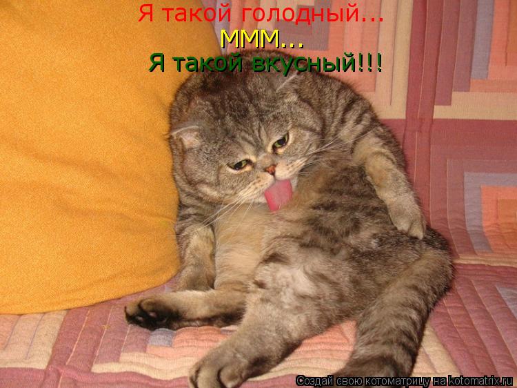 Я такой голодный... МММ... Я такой вкусный!!!... Котоматрица: Я такой голодный... МММ... Я такой вкусный!!!