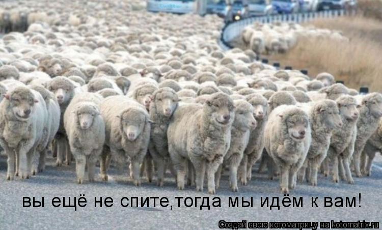 вы ещё не спите,тогда мы идём к вам!... Котоматрица: вы ещё не спите,тогда мы идём к вам!
