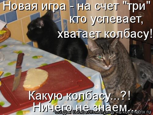 Новая игра - на счет "три" кто успевает, хватает колбасу! Какую колбасу...?! Ничего не знаем...... Котоматрица: Новая игра - на счет "три" кто успевает, хватает колбасу! Какую колбасу...?! Ничего не знаем...