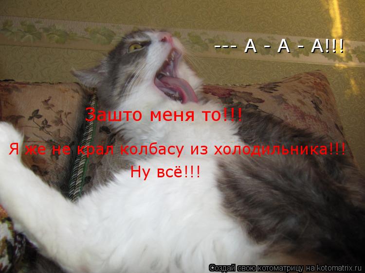 --- А - А - А!!! Зашто меня то!!! Я же не крал колбасу из холодильника!!! Ну всё!!! БЛИН!!! Неужели ... Котоматрица: --- А - А - А!!! Зашто меня то!!! Я же не крал колбасу из холодильника!!! Ну всё!!! БЛИН!!! Неужели это был сон!!!