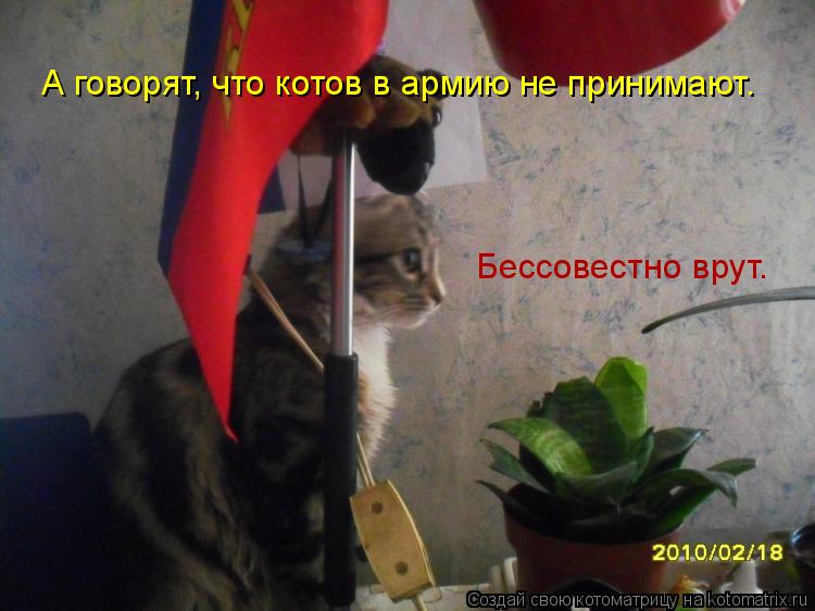 А говорят, что котов в армию не принимают. Бессовестно врут.... Котоматрица: А говорят, что котов в армию не принимают. Бессовестно врут.