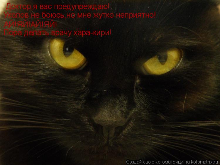 Доктор,я вас предупреждаю! Уколов не боюсь,но мне жутко неприятно! АЙ!ЯЙ!АЙ!ЯЙ! Пора делать врачу хар... Котоматрица: Доктор,я вас предупреждаю! Уколов не боюсь,но мне жутко неприятно! АЙ!ЯЙ!АЙ!ЯЙ! Пора делать врачу хара-кири!