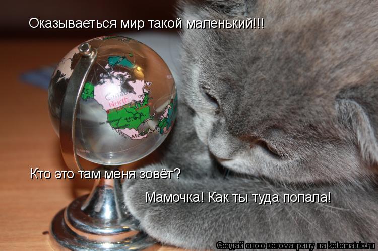 Оказываеться мир такой маленький!!! Кто это там меня зовёт? Мамочка! Как ты туда попала!... Котоматрица: Оказываеться мир такой маленький!!! Кто это там меня зовёт? Мамочка! Как ты туда попала!