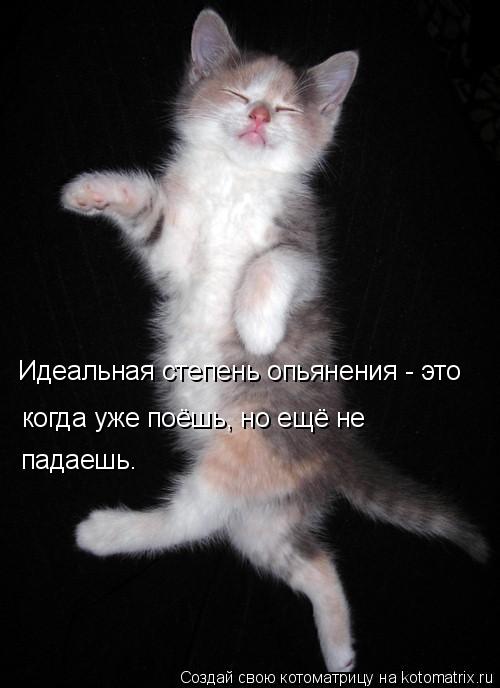 Идеальная степень опьянения - это когда уже поёшь, но ещё не падаешь.... Котоматрица: Идеальная степень опьянения - это когда уже поёшь, но ещё не падаешь.