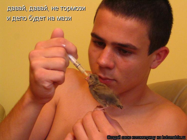 давай, давай, не тормози и дело будет на мази... Котоматрица: давай, давай, не тормози и дело будет на мази